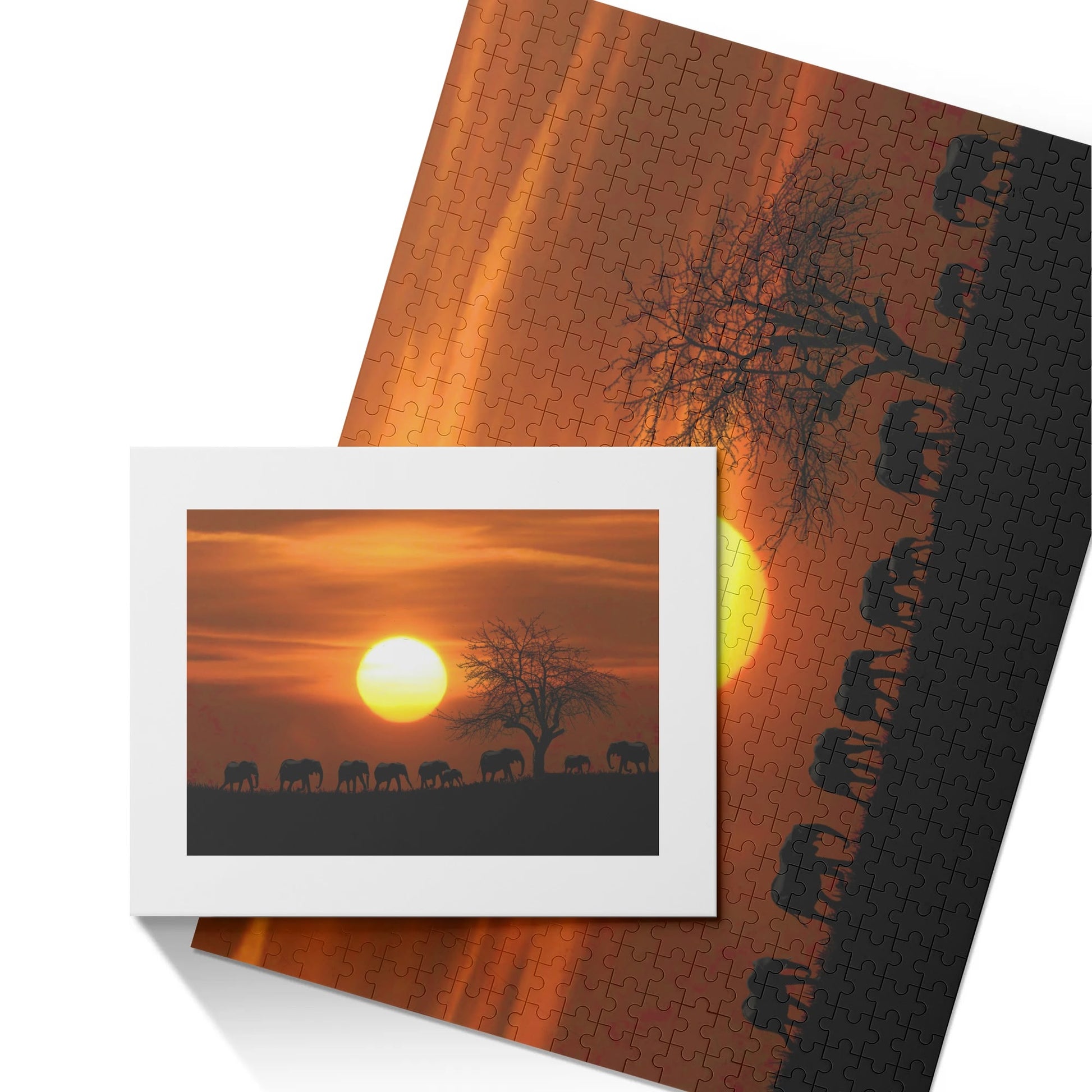 filename-1765431135-3-kckdn3TbcU